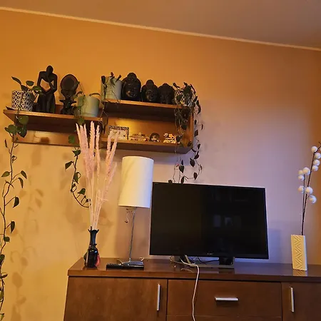 Gracious Shared Apartment Wroclaw
